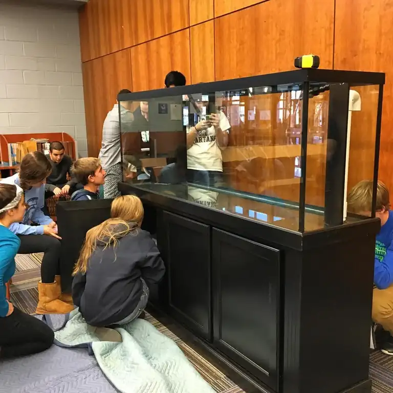 Healthy aquarium cared for by JK-Fish