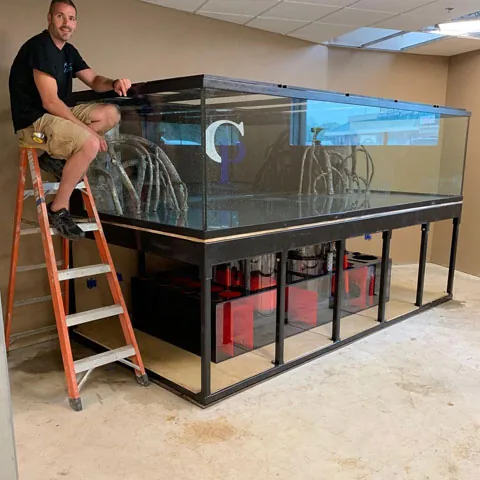 Maintenance and installation experts at JK Fish World