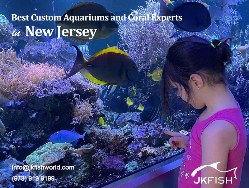 Best Custom Aquariums and Coral Experts in New Jersey