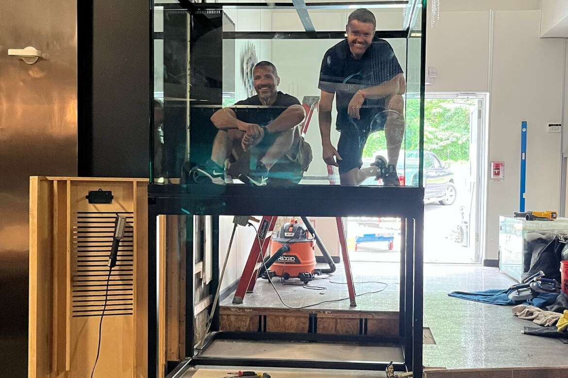 Enhance Your Home with JKFish's Luxury Custom-Built Aquariums