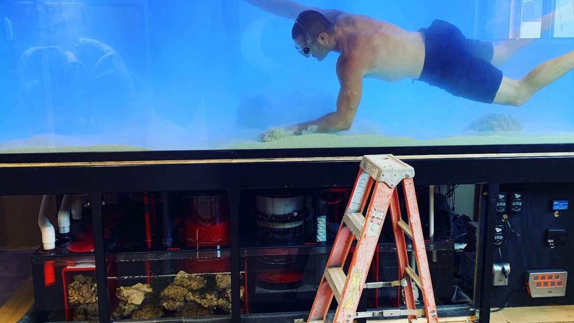 JKFish Custom Luxury Aquariums