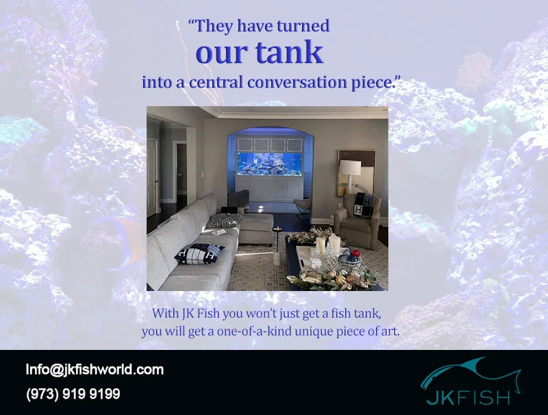 They have turned our tank into a central conversation piece