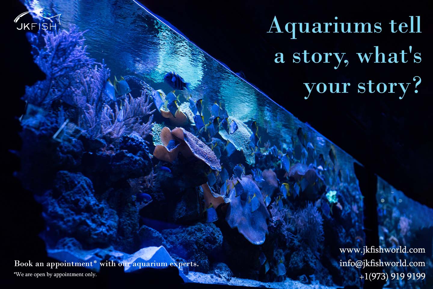 Aquariums tell a story