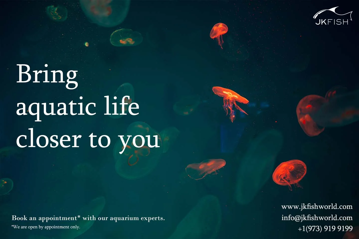 Bring aquatic life closer to you