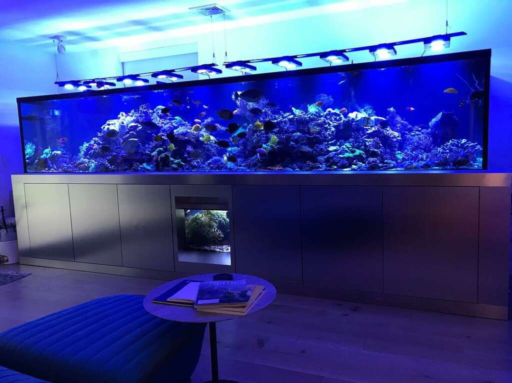 JK-Fish brings the awe inspiring beauty of the ocean directly to your home or office. Add style and flair to any space, commercial or residential aquariums.