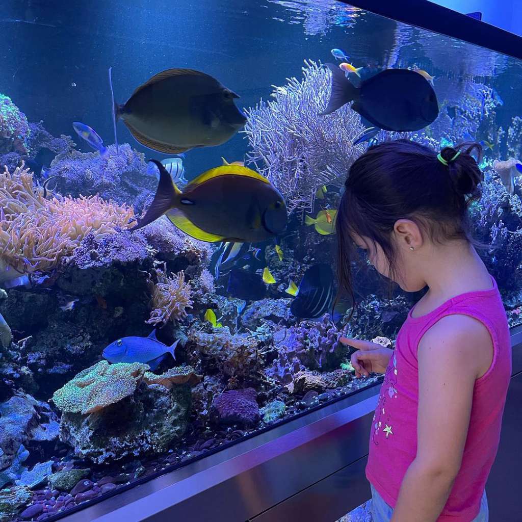 aquarium_delight