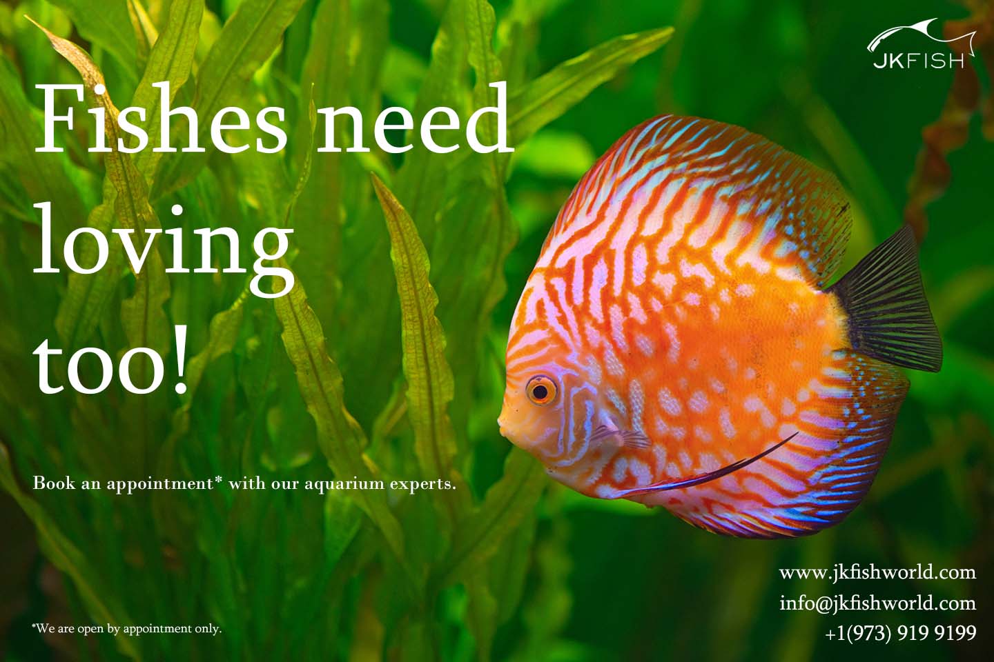 Fishes need loving too!