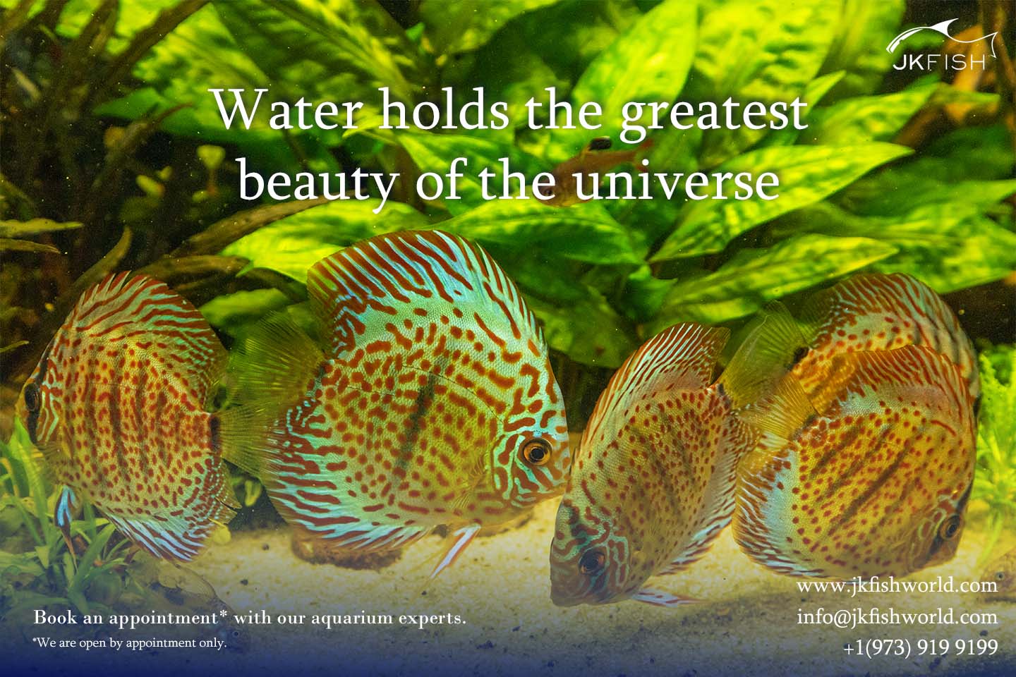 Greatest beauty of the universe