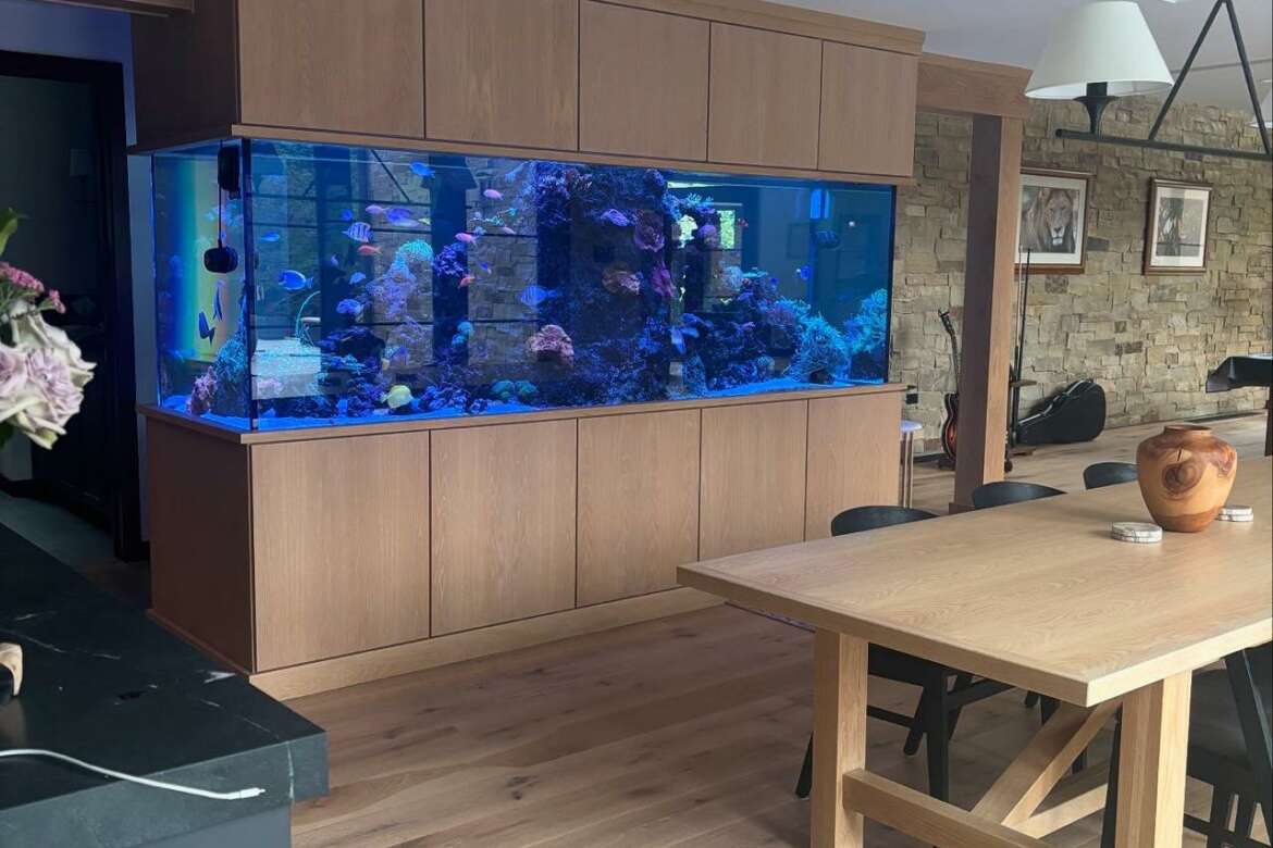 JK Fish World Blog