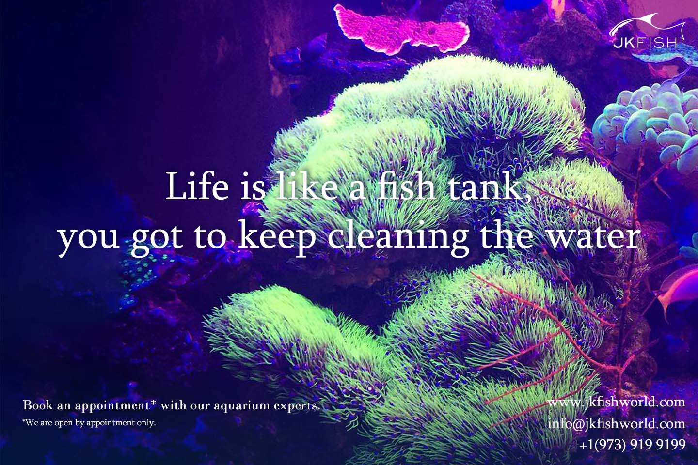 Life is like a fish tank
