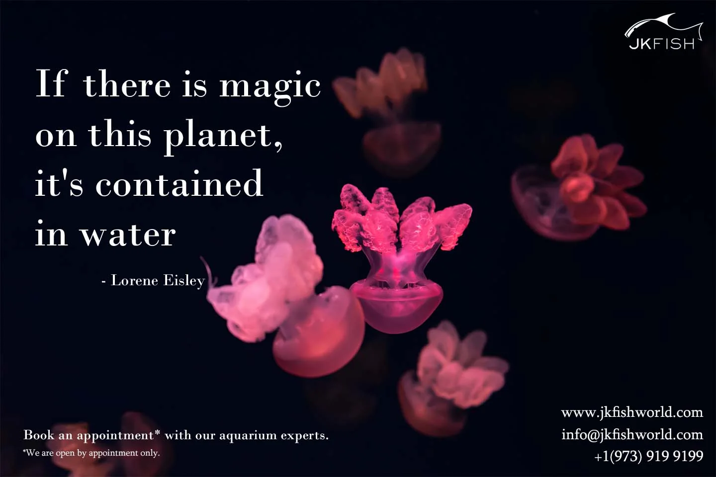 Magic on this Planet contained in water