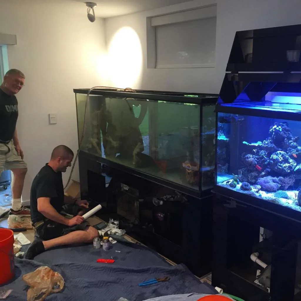 Nutrient Flow And Fish Behavior In Aquarium Design by JK-Fish