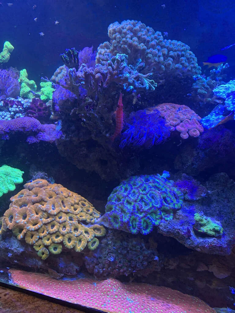 jkfishworld_our_processes