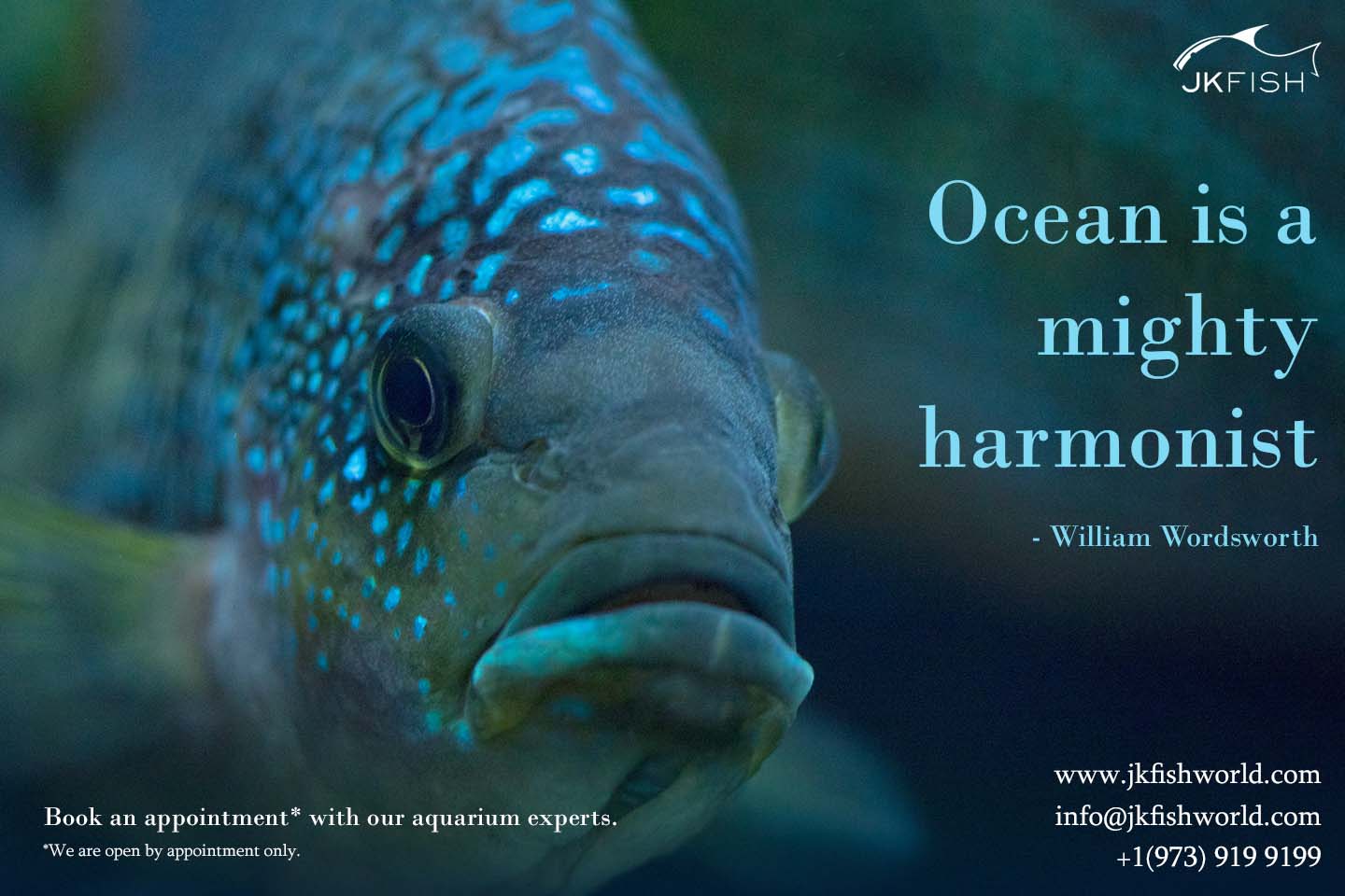 Ocean is a mighty harmonist
