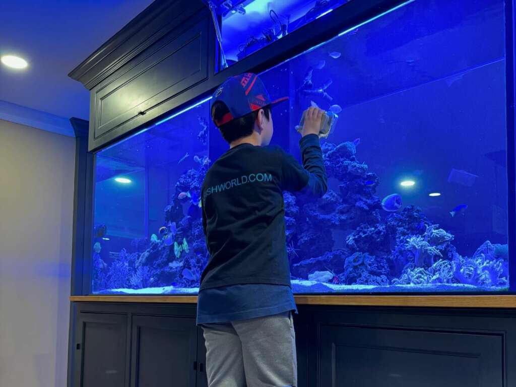 Showing the kids the ropes at JKFishworld