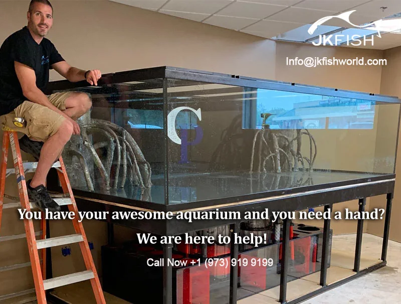 You have your awesome aquarium and you need a hand?