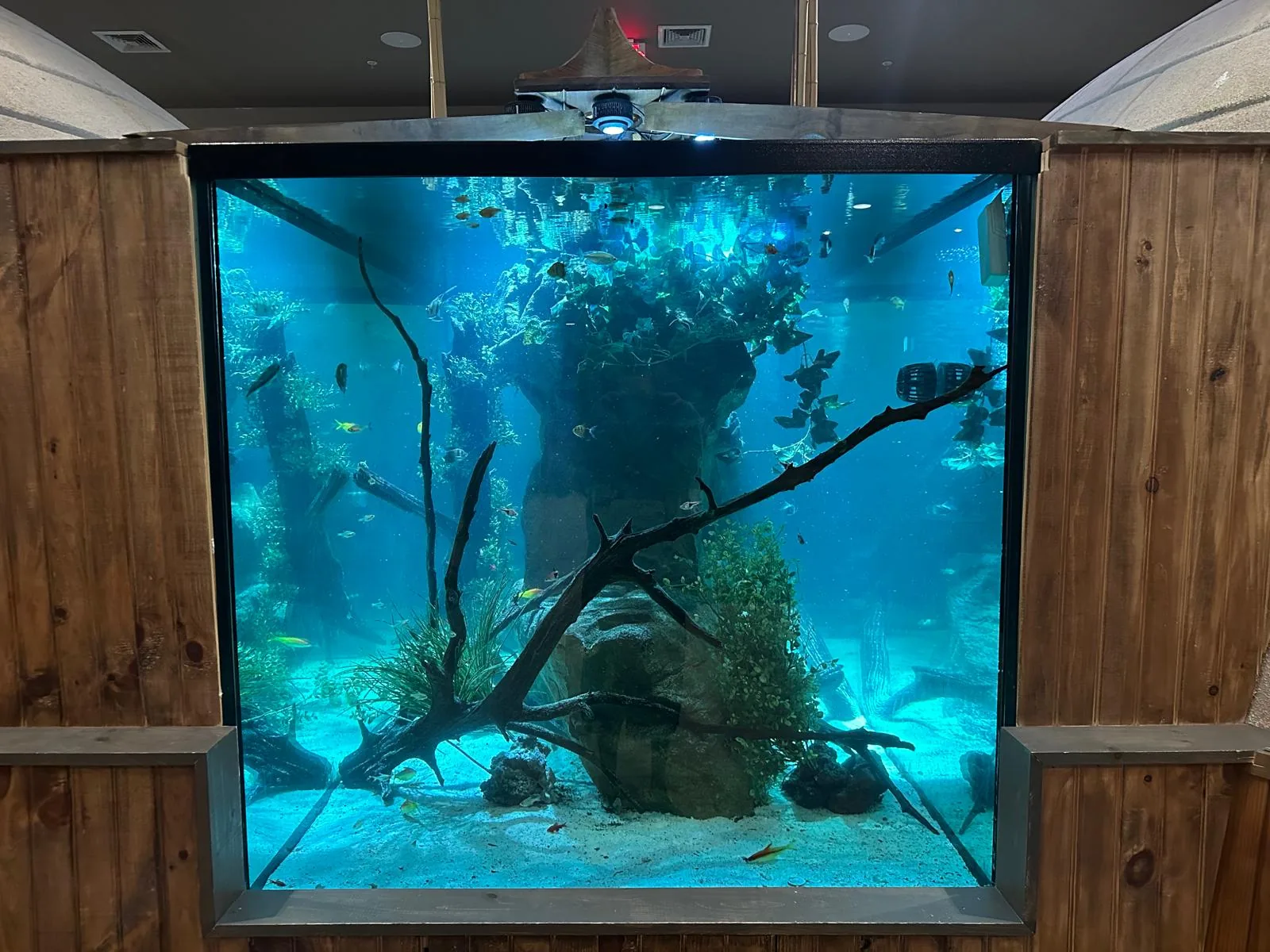 1000 Gallon Fresh Water Community Edison NJ