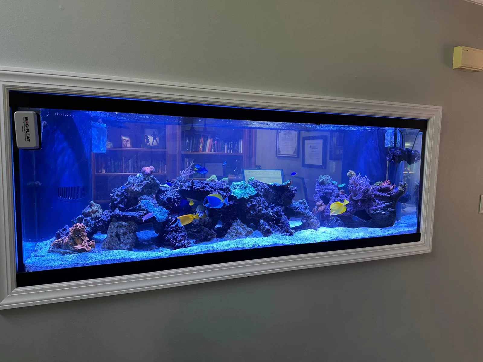 180 Gallon Reef Roxbury NJ