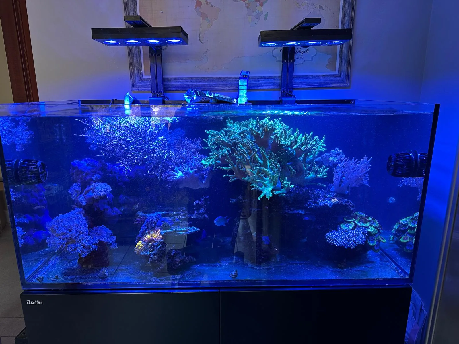 200 Gallon Reef Old Tappan NJ
