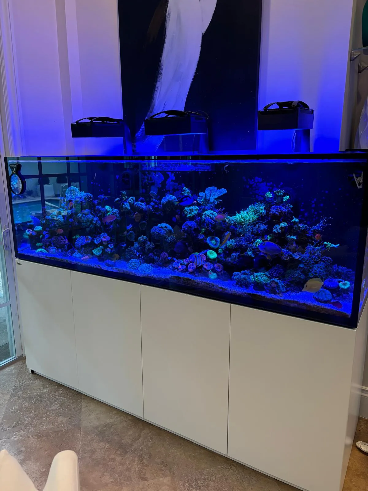 250 Gallon Reef Jupiter Florida
