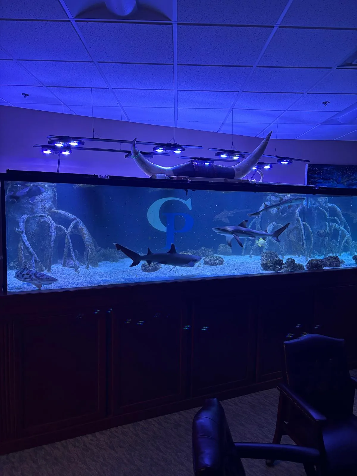 2500 Gallon Shark Aquarium Clifton NJ