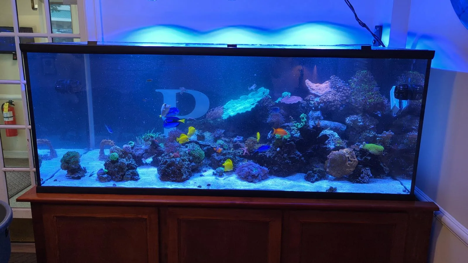 400 Gallon Reef Clifton NJ