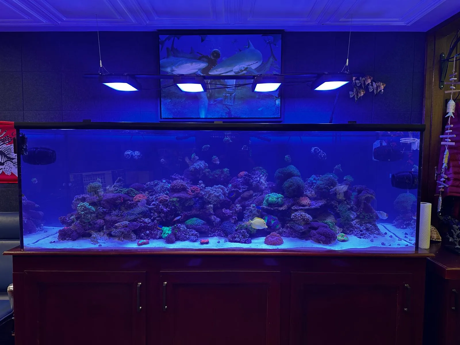 500 Gallon Reef Hoboken NJ