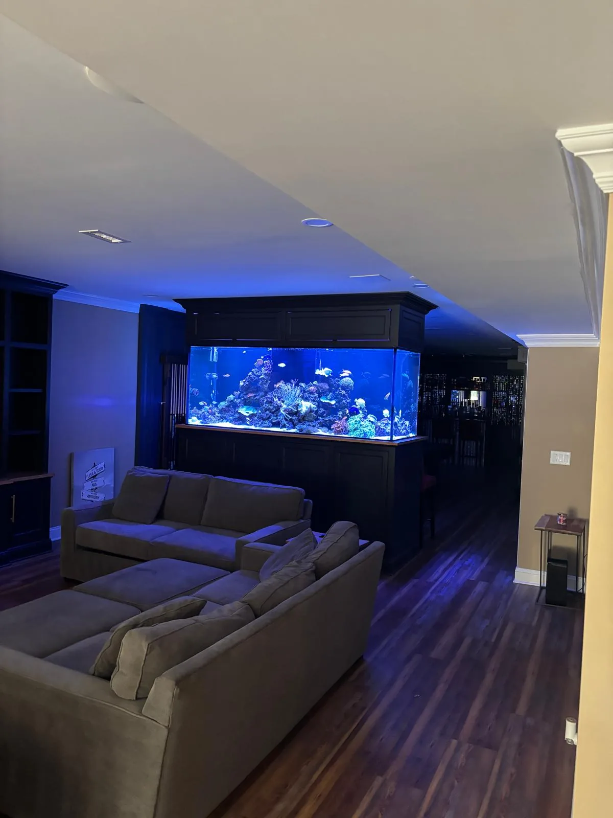 500 Gallon Reef Mendham NJ