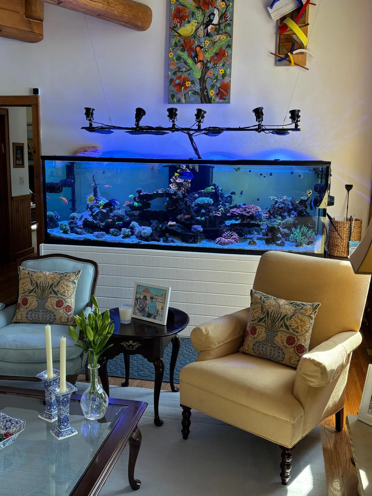 500 Gallon Reef Newton NJ