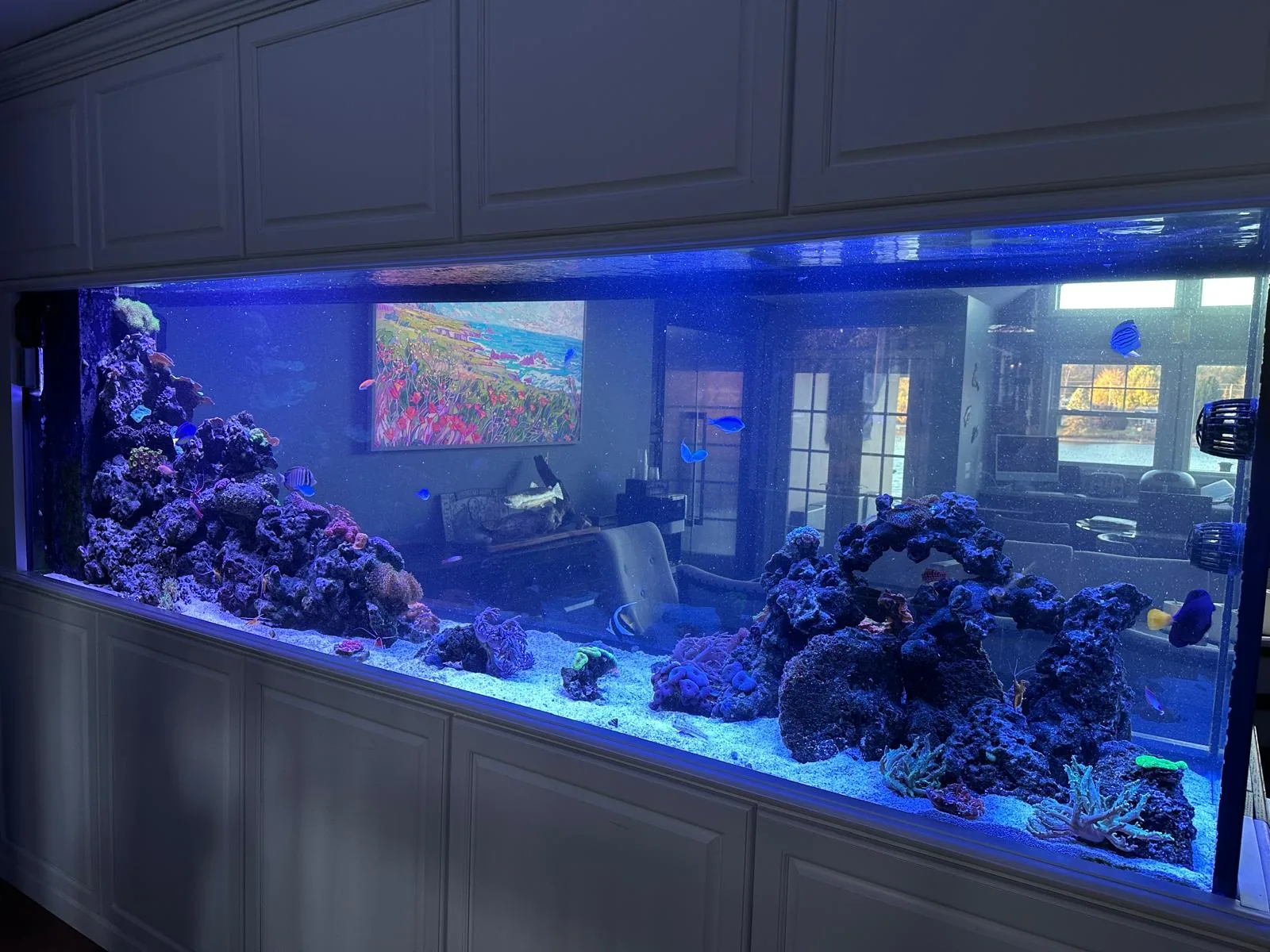 800 Gallon Reef Mountain Lakes NJ