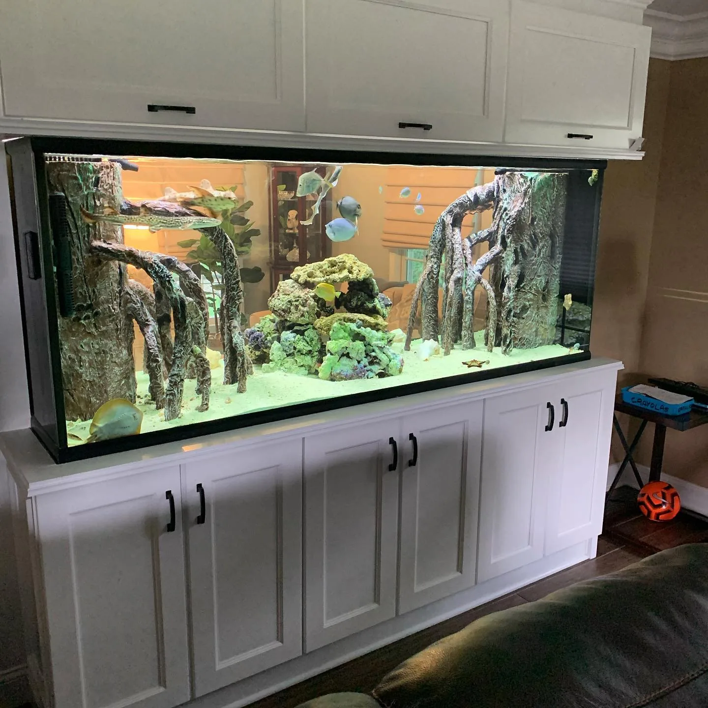 Bridgewater 700 Gallon Shark System
