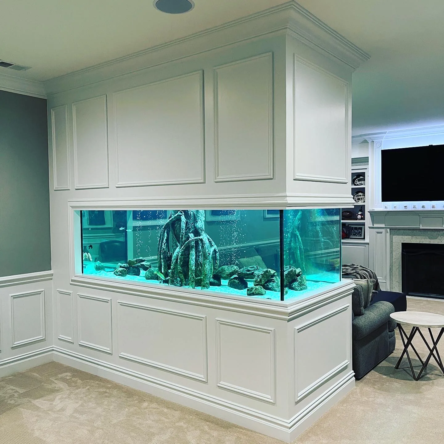 Florham Park 700 Gallon Freshwater