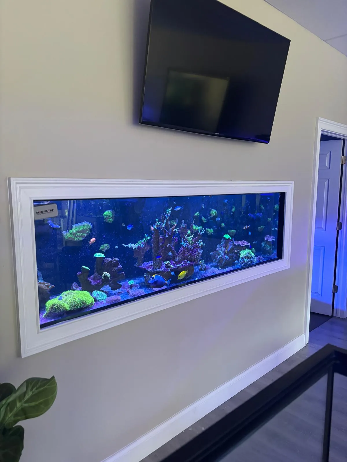 JK Fish World Showroom in Randolph NJ