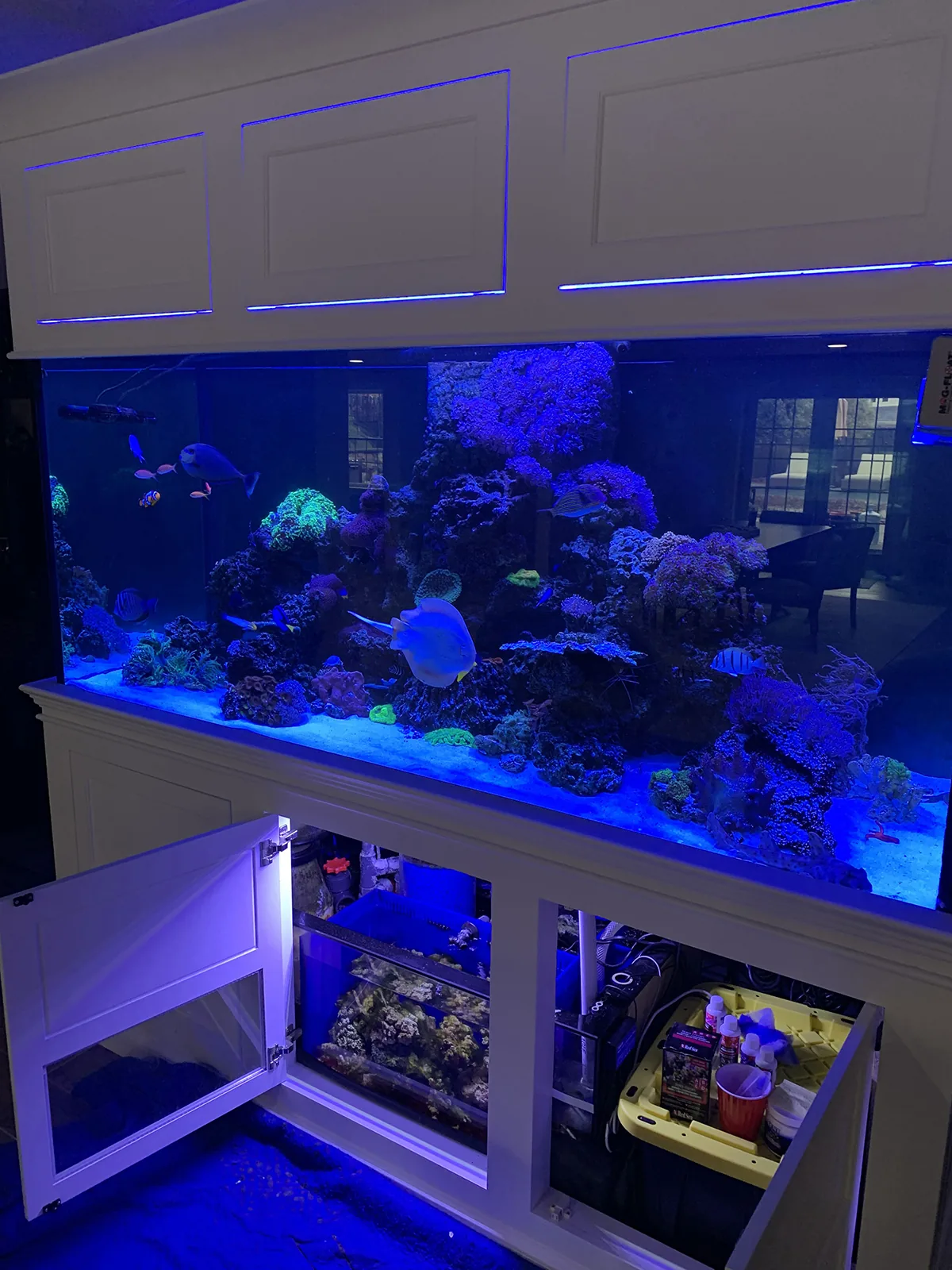 JK Fish World Project 5344