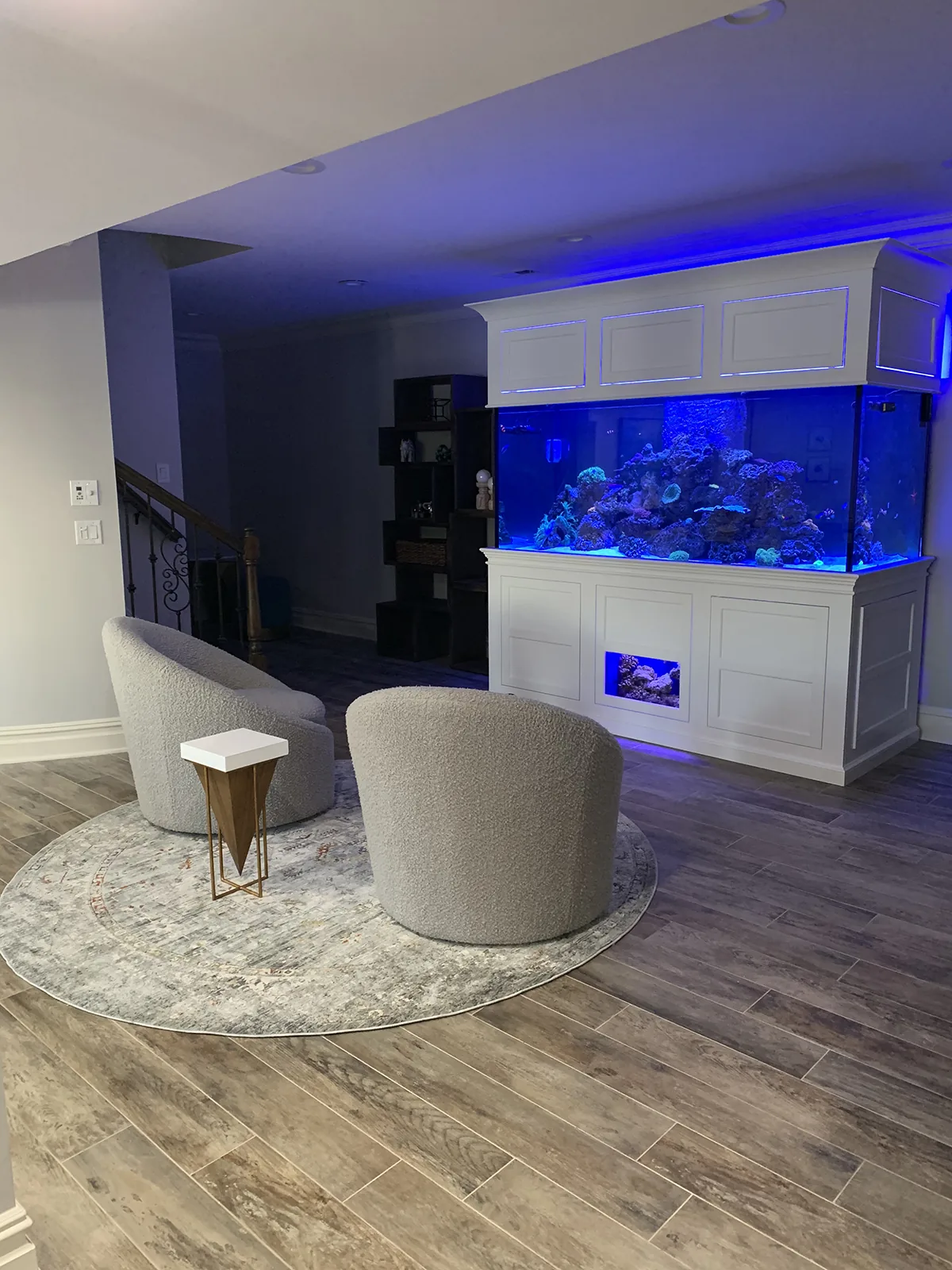 JK Fish World Project 6262