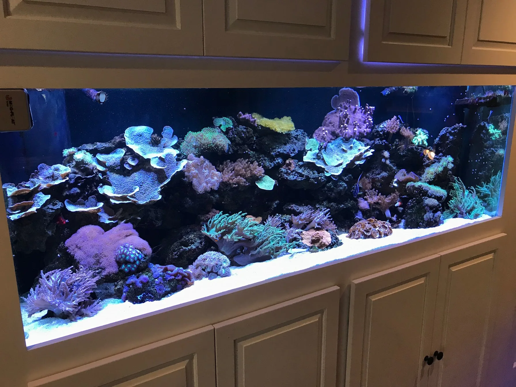 Short Hills 200 Gallon Built In
