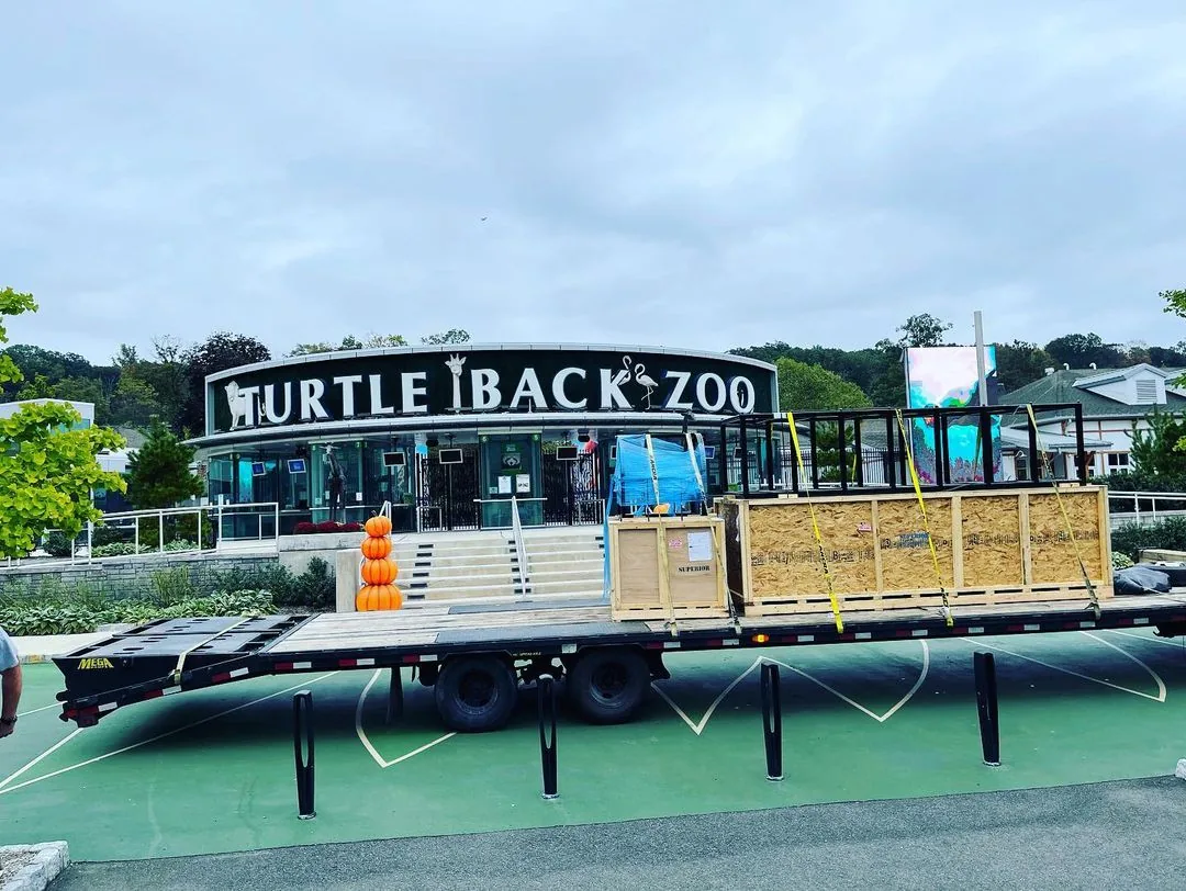 Turtle Back Zoo 1000 Gallon Reptile Tank