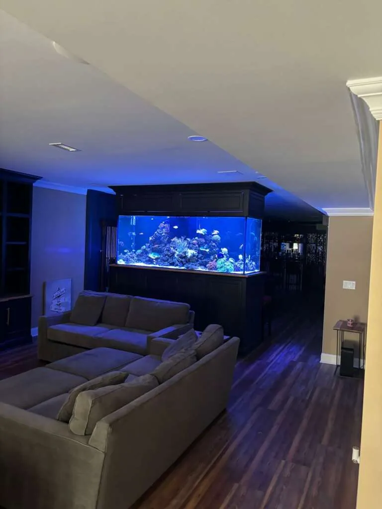500 Gallon Reef Mendham NJ Image 1
