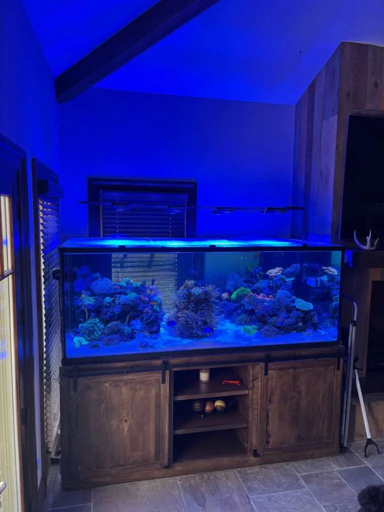 700 Gallon Reef Caldwell NJ Image 1