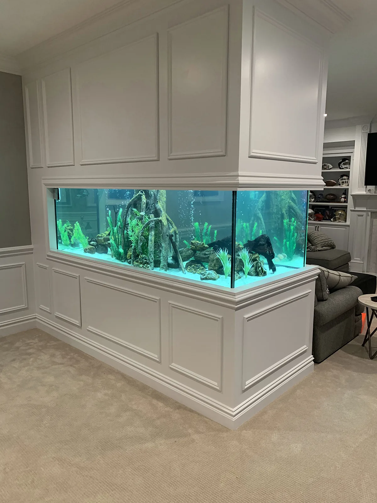 JK Fish World Project 5717