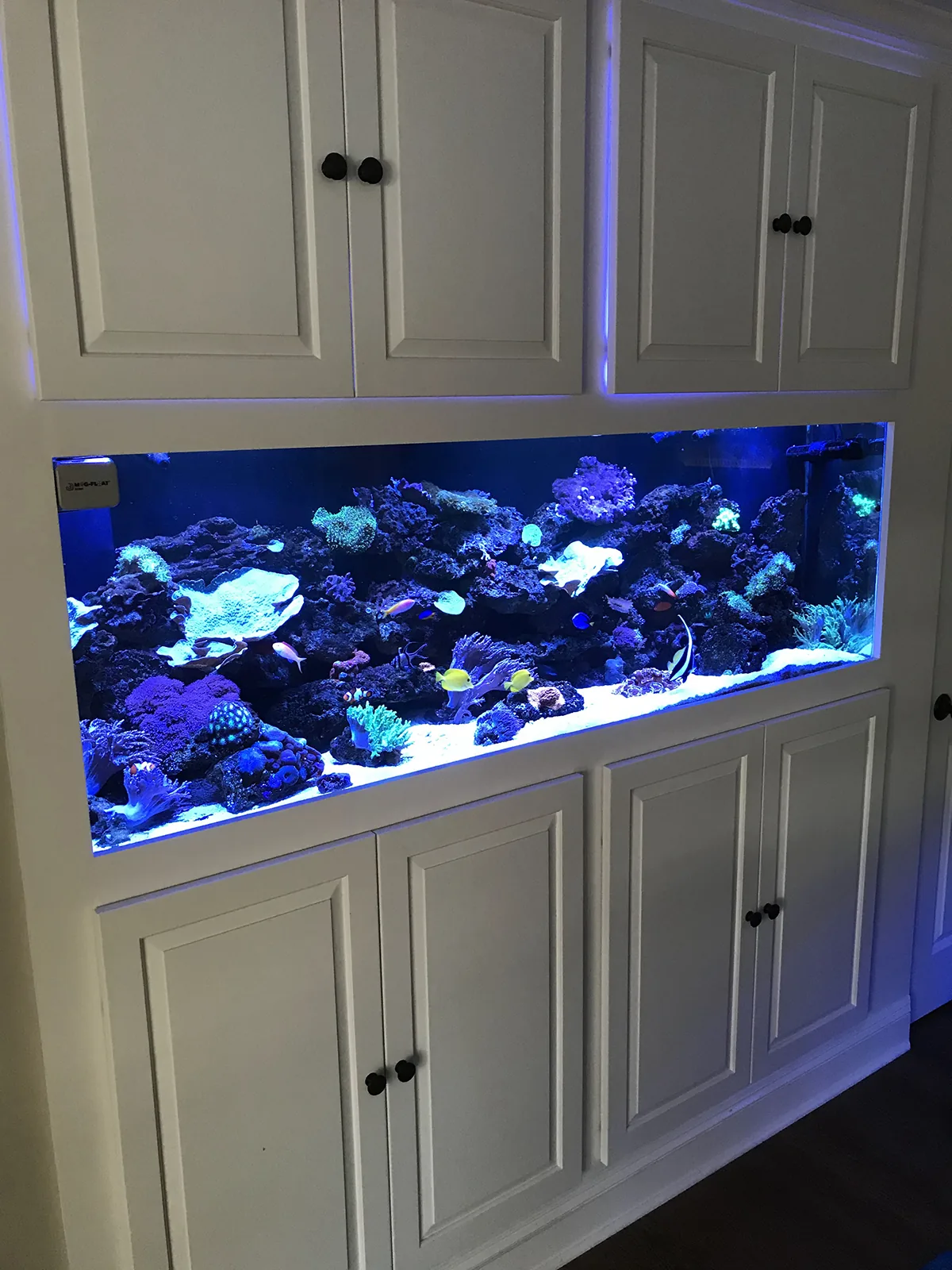 JK Fish World Project 7170