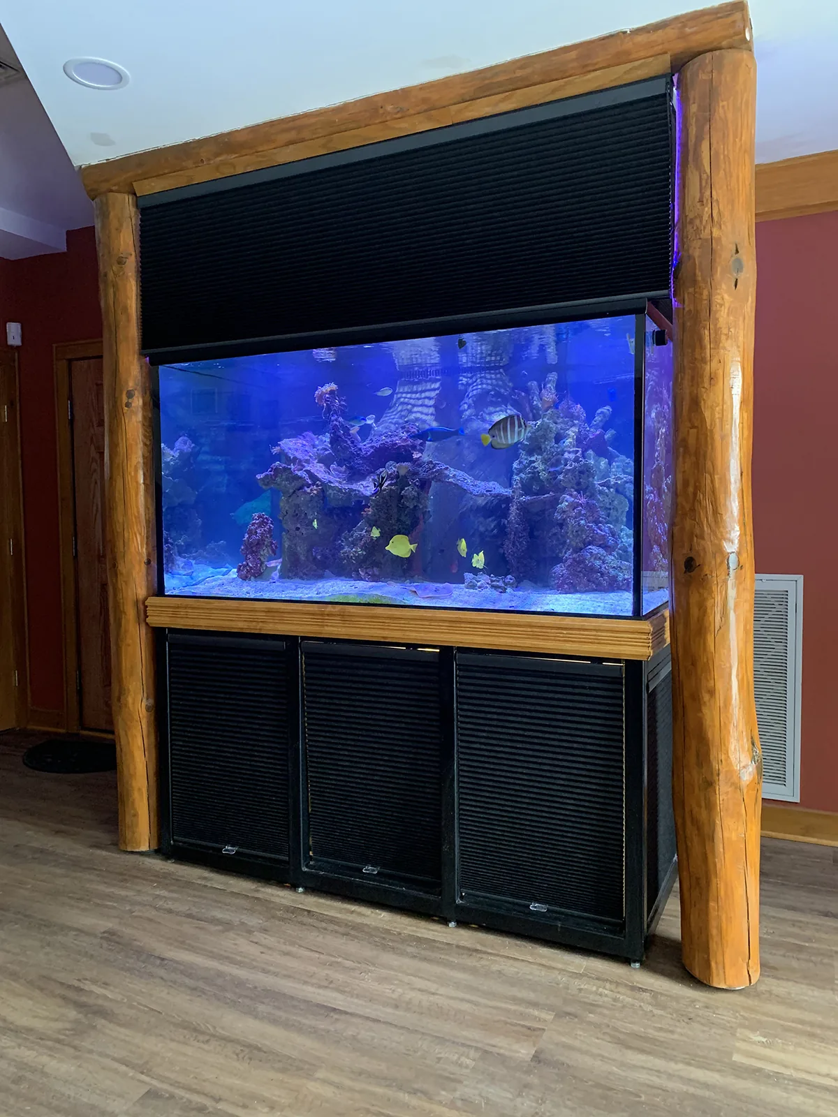 JK Fish World Project 6183