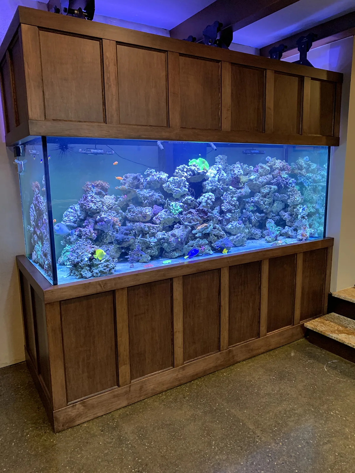 JK Fish World Project 5051