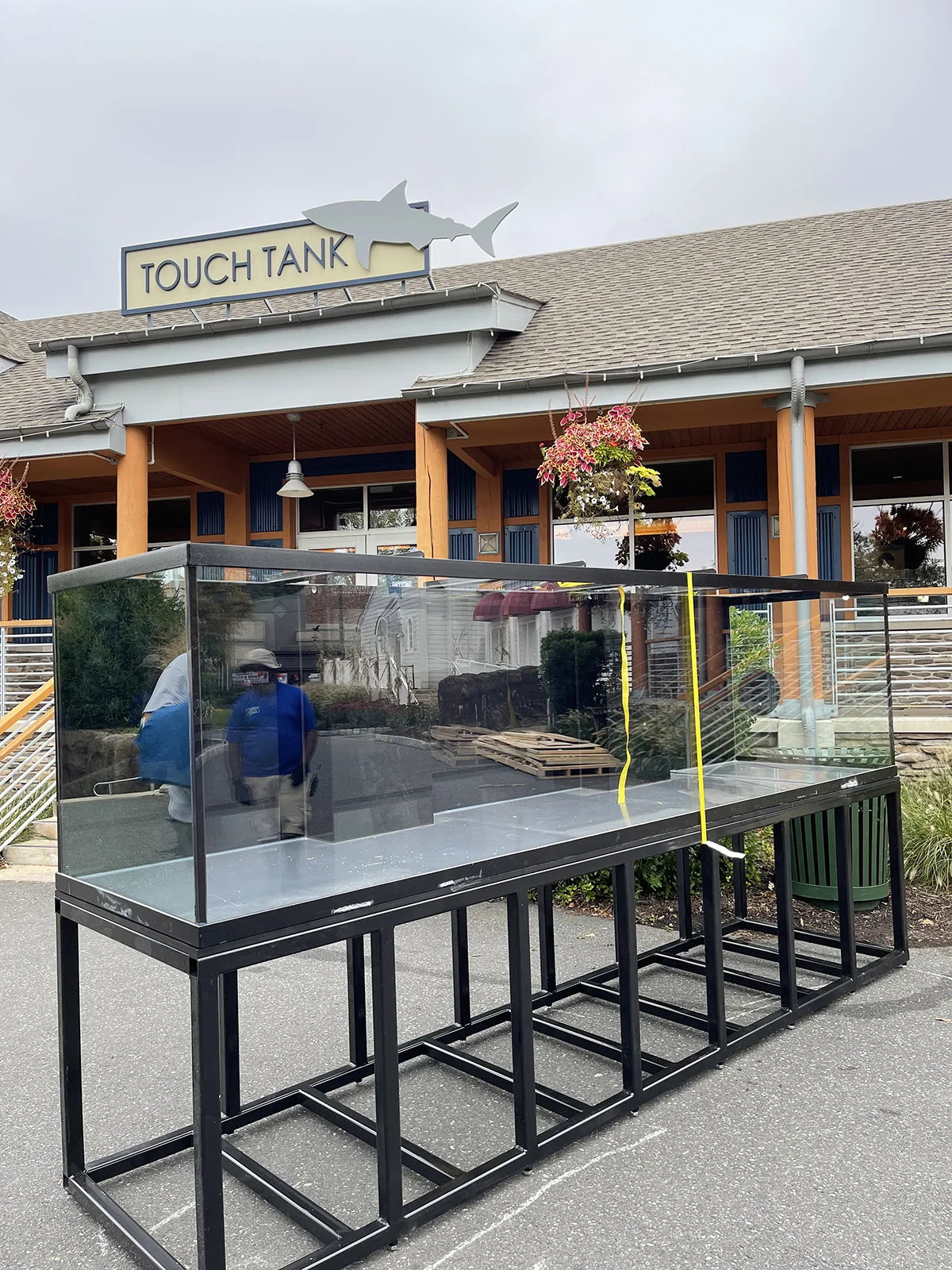 JK Fish World Project 7780