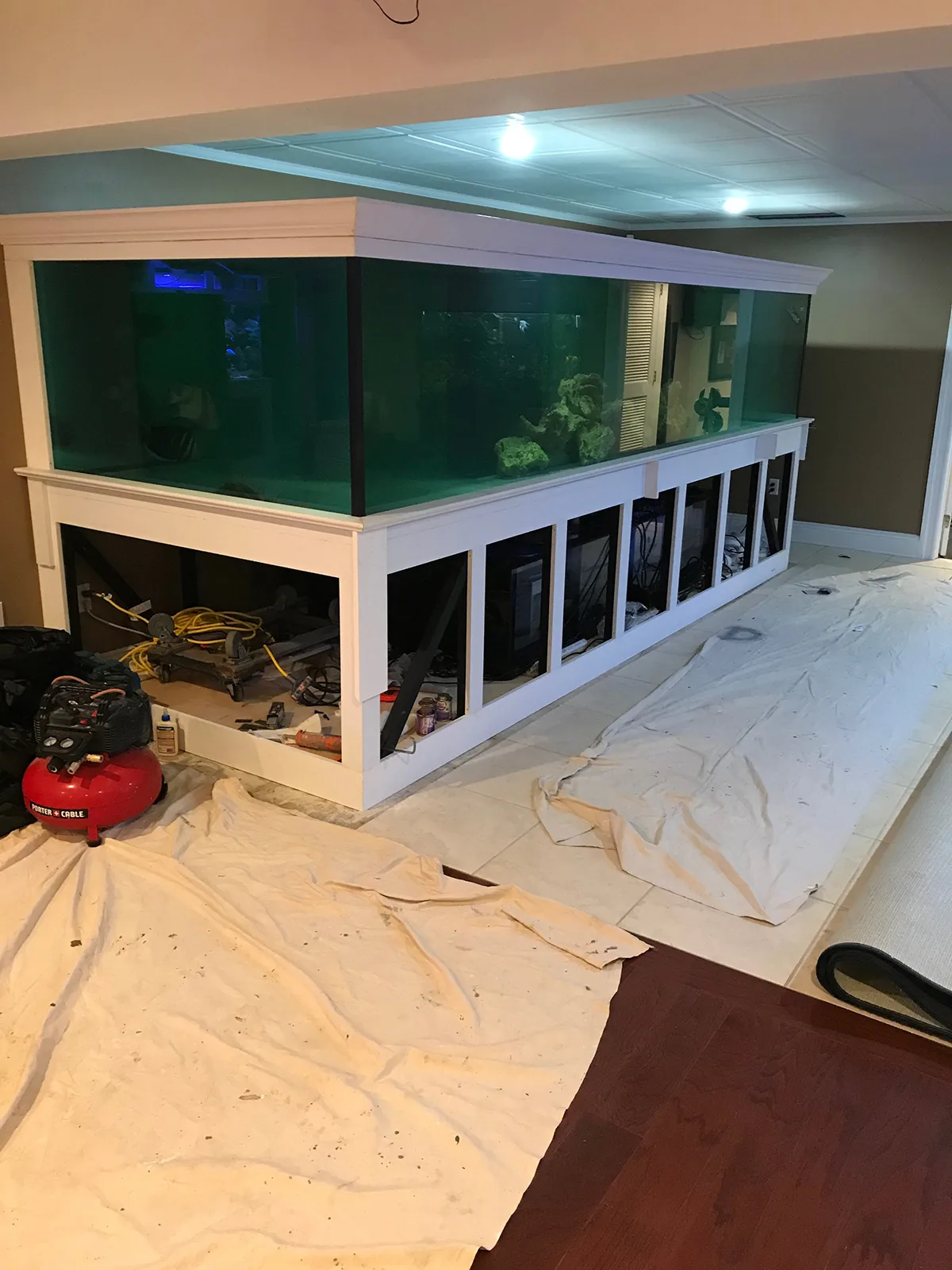 JK Fish World Project 1124
