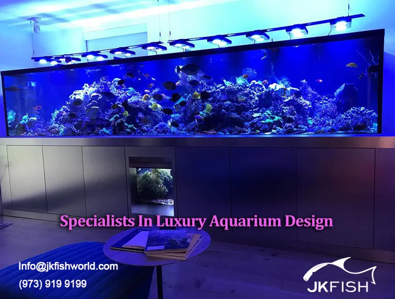 Specialists in Luxury Aquarium Design