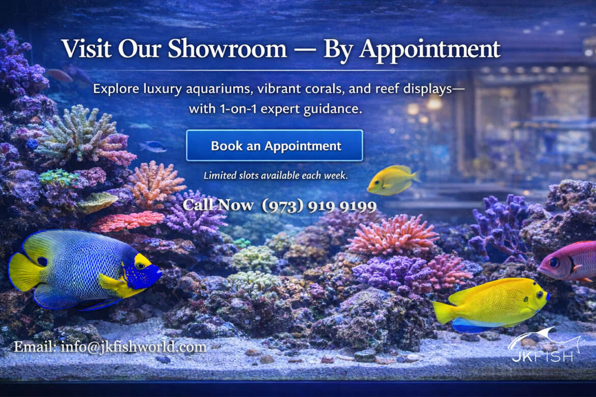Visit Our Showroom By Appointment