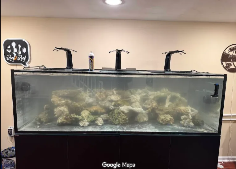 330-gallon aquarium moved and set up by JK Fish World