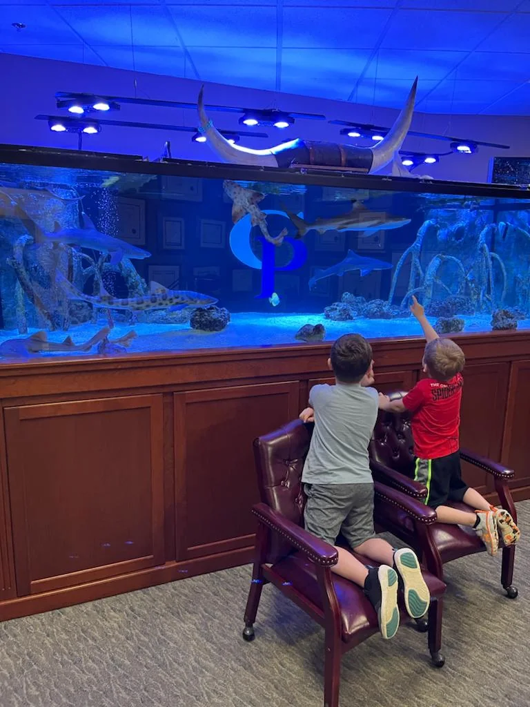Luxury aquarium detail with colorful reef life