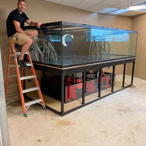 Aquarium maintenance and installation service
